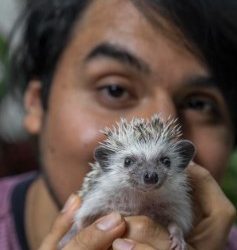 ¡No más exhibición y fotos de animales maltratados en Quintana Roo!