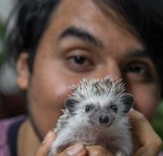 ¡No más exhibición y fotos de animales maltratados en Quintana Roo!