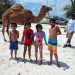 Maroma Beach celebra en grande el día del niño con actividades recreativas y demostración de camellos