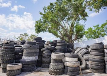 Más de 20 toneladas de desechos de neumáticos fueron enviadas a Tabasco desde Cozumel