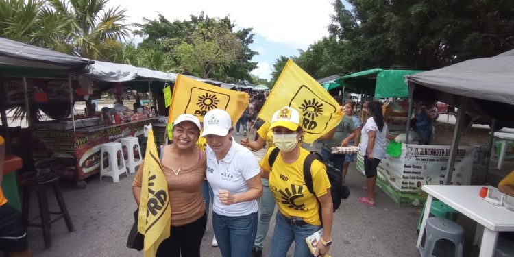 Obliga inseguridad a los pequeños y microempresarios a pasar a la informalidad: Iris Mora Vallejo