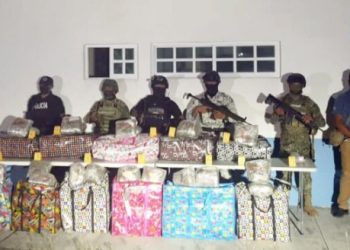 Ataque directo al narcotráfico; aseguran cerca de 100 kg de marihuana en una casa de Playa del Carmen