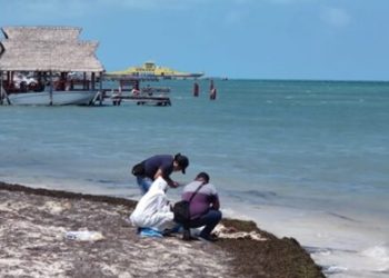 Encuentran restos humanos en playa en la subdelegación de Puerto Juárez