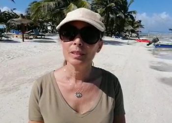 Empresarios trabajan para recoja de sargazo