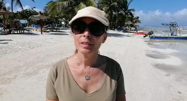 Empresarios trabajan para recoja de sargazo