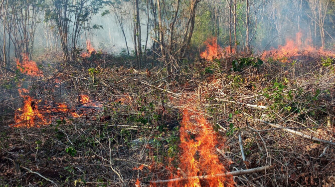 Quintana Roo registra tres incendios forestales activos