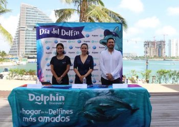 The Dolphin Company anuncia el cuarto “Foro del Día del Delfín con importantes actividades educativas