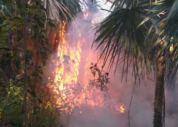 Atienden incendio en la reserva del sitio experimental del INIFAP