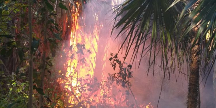 Atienden incendio en la reserva del sitio experimental del INIFAP