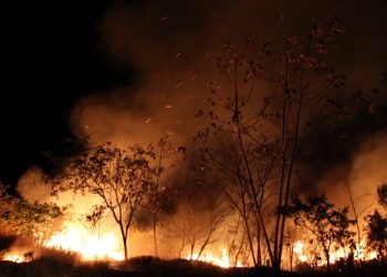 Incendios Forestales en Quintana Roo