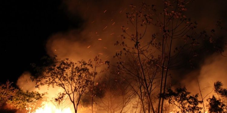 Incendios Forestales en Quintana Roo