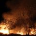 Incendios Forestales en Quintana Roo