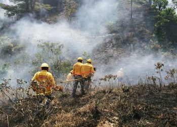 Fallecen cuatro personas tras sofocar un incendio forestal en Oaxaca