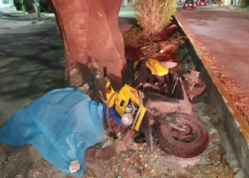 Motociclista fallece tras perder el control y estrellarse contra un árbol en Cancún