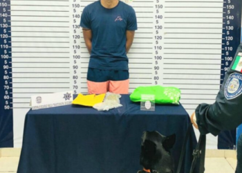 Unidad canina detecta a extranjero portando drogas en Playa del Carmen
