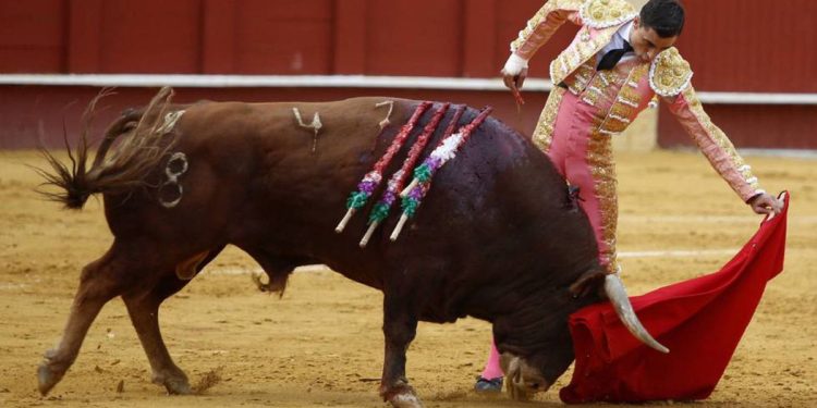 Aprueban actividades como Charrería, Jaripeo y Rodeo sean Patrimonio Cultural