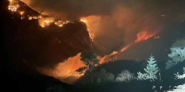 Conafor y Conagua fortalecen su coordinación con Protección Civil para el combate a incendios forestales