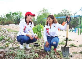 A favor del Tren Maya, pero lamenta falta de planeación  y cuidado del medio ambiente LHR