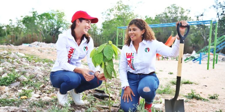 A favor del Tren Maya, pero lamenta falta de planeación  y cuidado del medio ambiente LHR