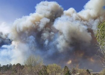 Evacuan personas en Arizona tras Incendio forestal