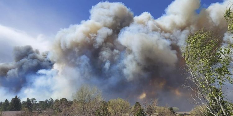 Evacuan personas en Arizona tras Incendio forestal
