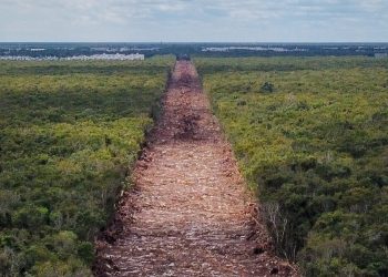 AMLO ordena al Ejército cuidar y defender las obras del Tren Maya