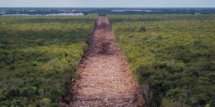 AMLO ordena al Ejército cuidar y defender las obras del Tren Maya