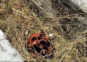 Macabro hallazgo en Carrillo Puerto