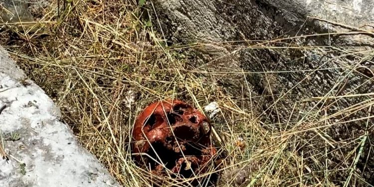 Macabro hallazgo en Carrillo Puerto