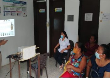 Emite la SESA recomendaciones para prevenir la enfermedad de Chagas