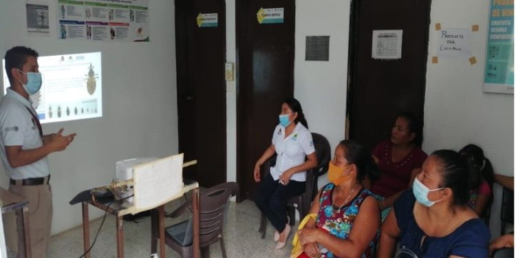 Emite la SESA recomendaciones para prevenir la enfermedad de Chagas