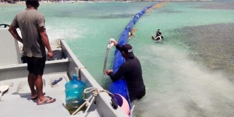 Marina utilizará tecnología sin fin para sacar sargazo de playas en Mahahual