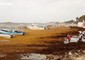 48 mil toneladas de sargazo son un riesgo para costas y destinos de Quintana Roo&nbsp;&nbsp;&nbsp;&nbsp;&nbsp;&nbsp;&nbsp;&nbsp;&nbsp;&nbsp;&nbsp;&nbsp;&nbsp;&nbsp;&nbsp;&nbsp;&nbsp;&nbsp;&nbsp;&nbsp;&nbsp;&nbsp;&nbsp;&nbsp;&nbsp;&nbsp;&nbsp;&nbsp;&nbsp;&nbsp;&nbsp;&nbsp;