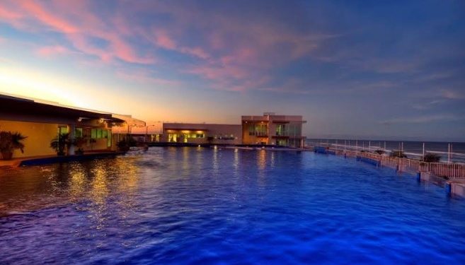 Marineland gana el sello American Humane Certified™ por brindar bienestar animal excepcional