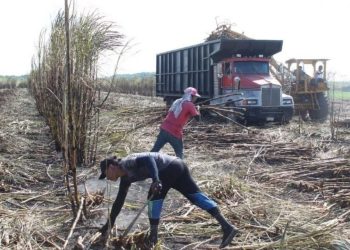 Censo agropecuario
