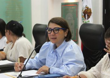 Parquímetros sí pueden ser retirados en Solidaridad; no cuentan con un estudio o justificación de su colocación: Kira Iris