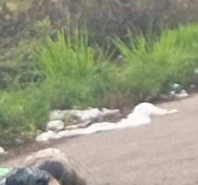 Encuentran tres cuerpos en zona rural de Othón P. Blanco