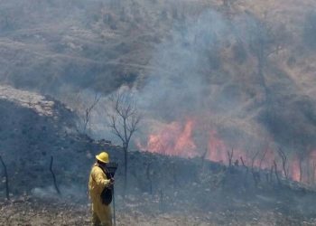 Incendio forestal afecta en el municipio de Zapopan