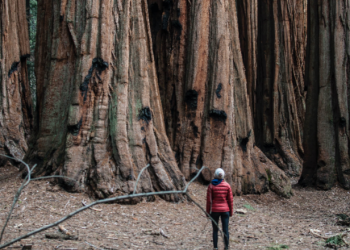 22 de Mayo un día para hacer conciencia y cuidar la biodiversidad