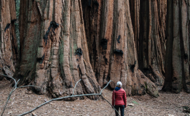22 de Mayo un día para hacer conciencia y cuidar la biodiversidad