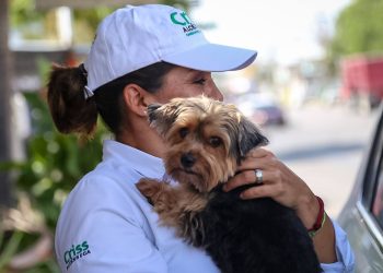 Trato digno para los animales y mano dura contra quienes los violenten: Criss Alcérreca