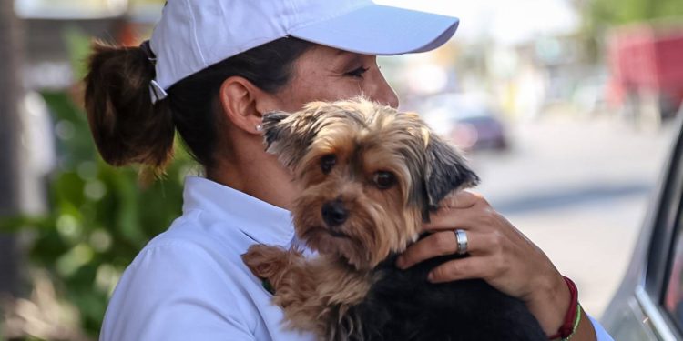 Trato digno para los animales y mano dura contra quienes los violenten: Criss Alcérreca