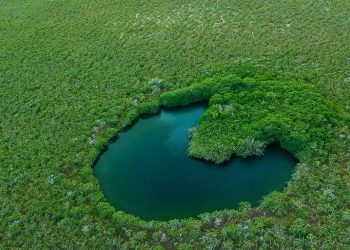 El Consejo de Cuenca de la Península de Yucatán ya cuenta con su Programa Hídrico Regional