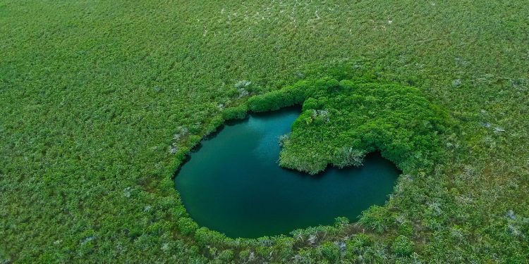 El Consejo de Cuenca de la Península de Yucatán ya cuenta con su Programa Hídrico Regional