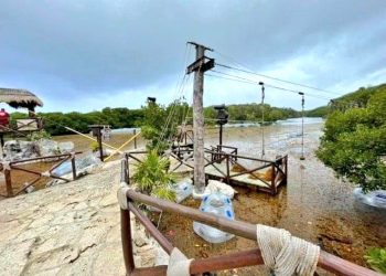 «Llega a la Riviera Maya el parque Xargazo»