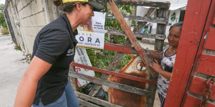 Diputaciones, fundamentales en la elección 2022: Iris Mora