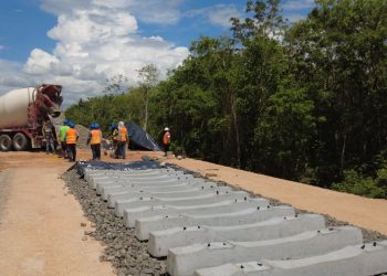 INAI pide a Semarnat revelar la autorización para el tramo 5 del Tren Maya
