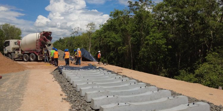 INAI pide a Semarnat revelar la autorización para el tramo 5 del Tren Maya