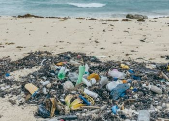 Identifica Unicaribe a las playas más contaminadas con plásticos 