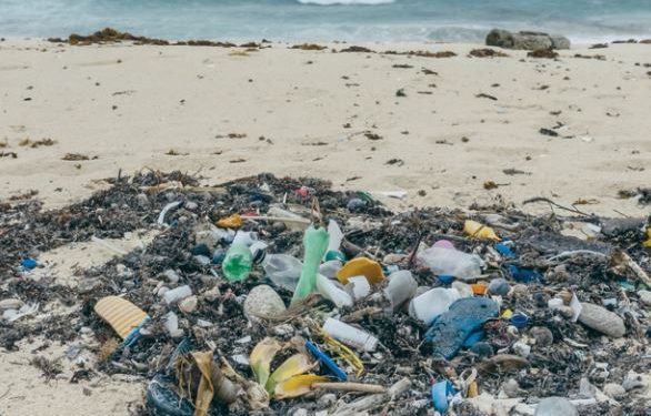 Identifica Unicaribe a las playas más contaminadas con plásticos 